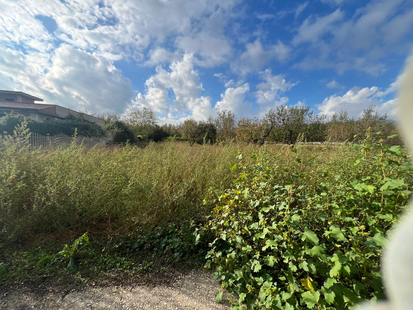Terreno agricolo